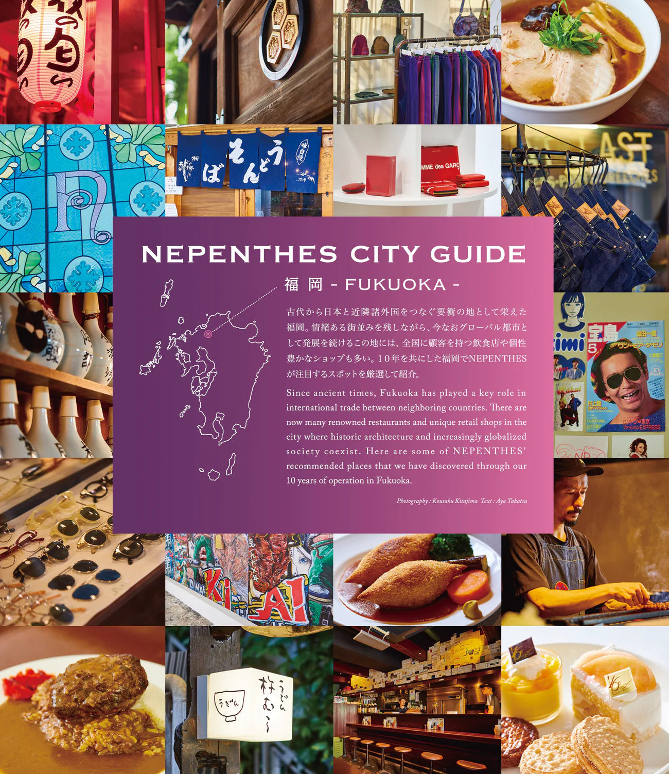 Nepenthes In Print – Issue 19 | Rare Carnivorous Plant Magazine | Perfect for Botanical Enthusiasts & Collectors