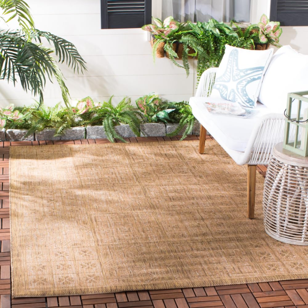 SAFAVIEH Courtyard Collection Area Rug - 5'3