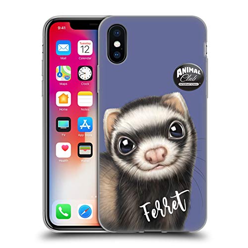Ferret
