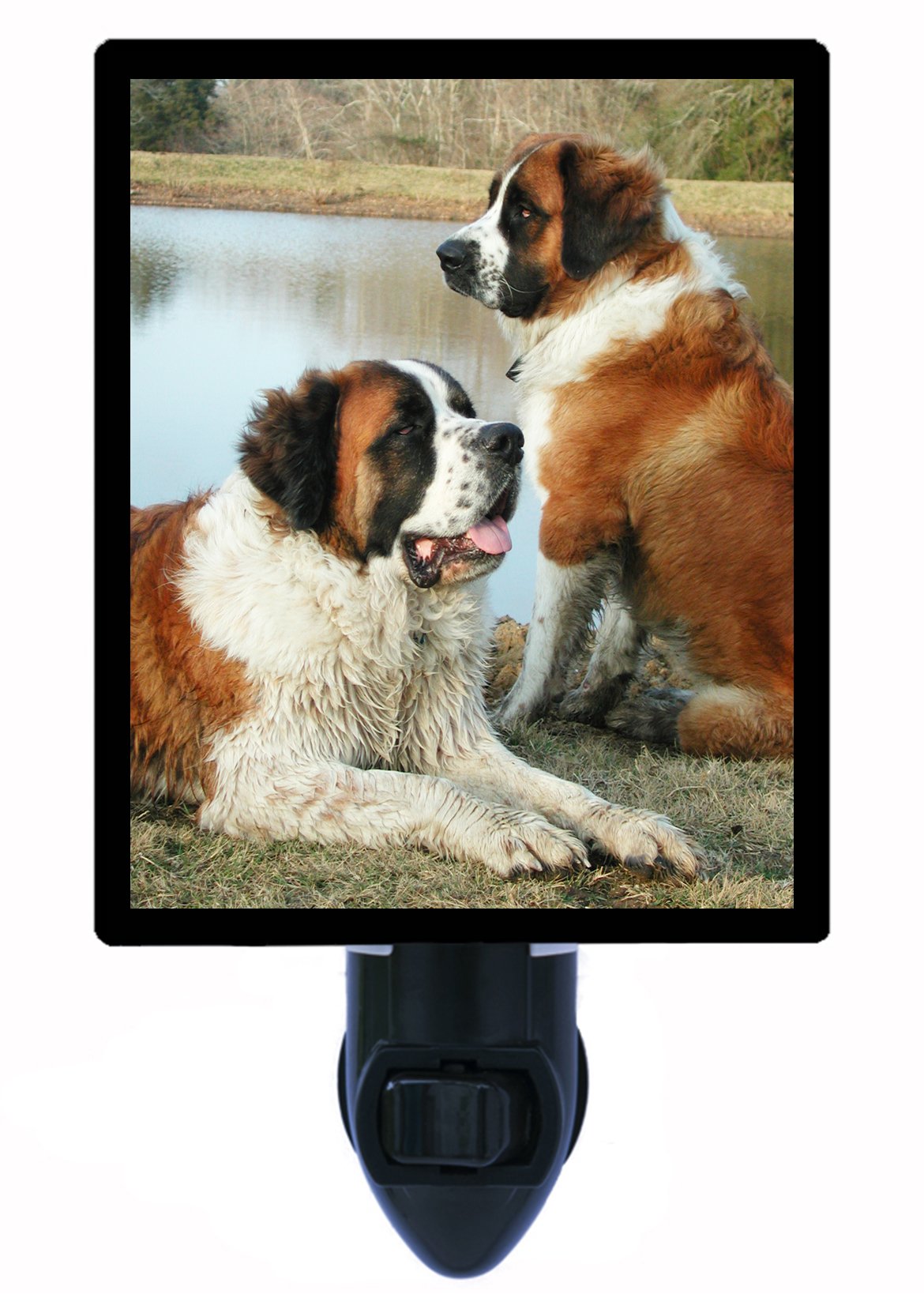 Saint Bernard Dog Night Light - LED Pet Night Light for Bedroom, Nursery, or Hallway - Perfect for Dog Lovers and Kids