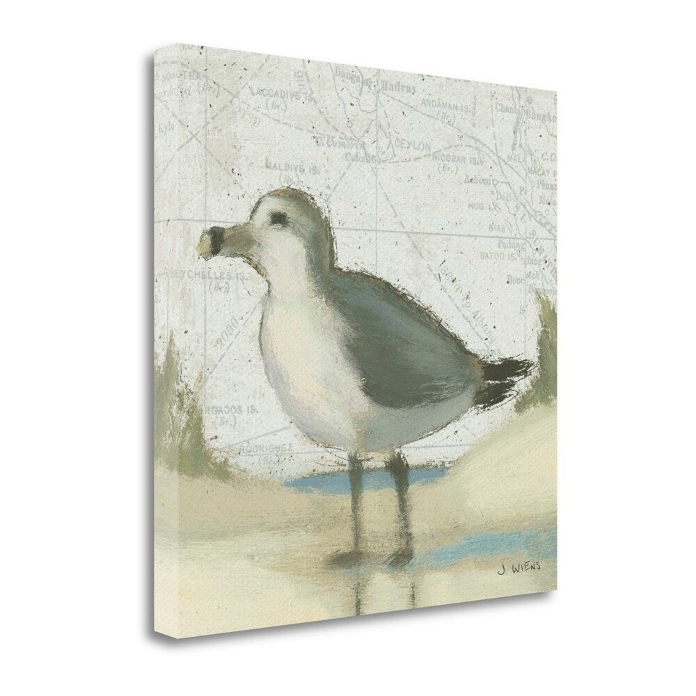 Beach Bird II By James Wiens - Premium Giclee Art Print on Gallery Wrapped Canvas - Ready to Hang Wall Decor for Living Room, Bedroom & Office