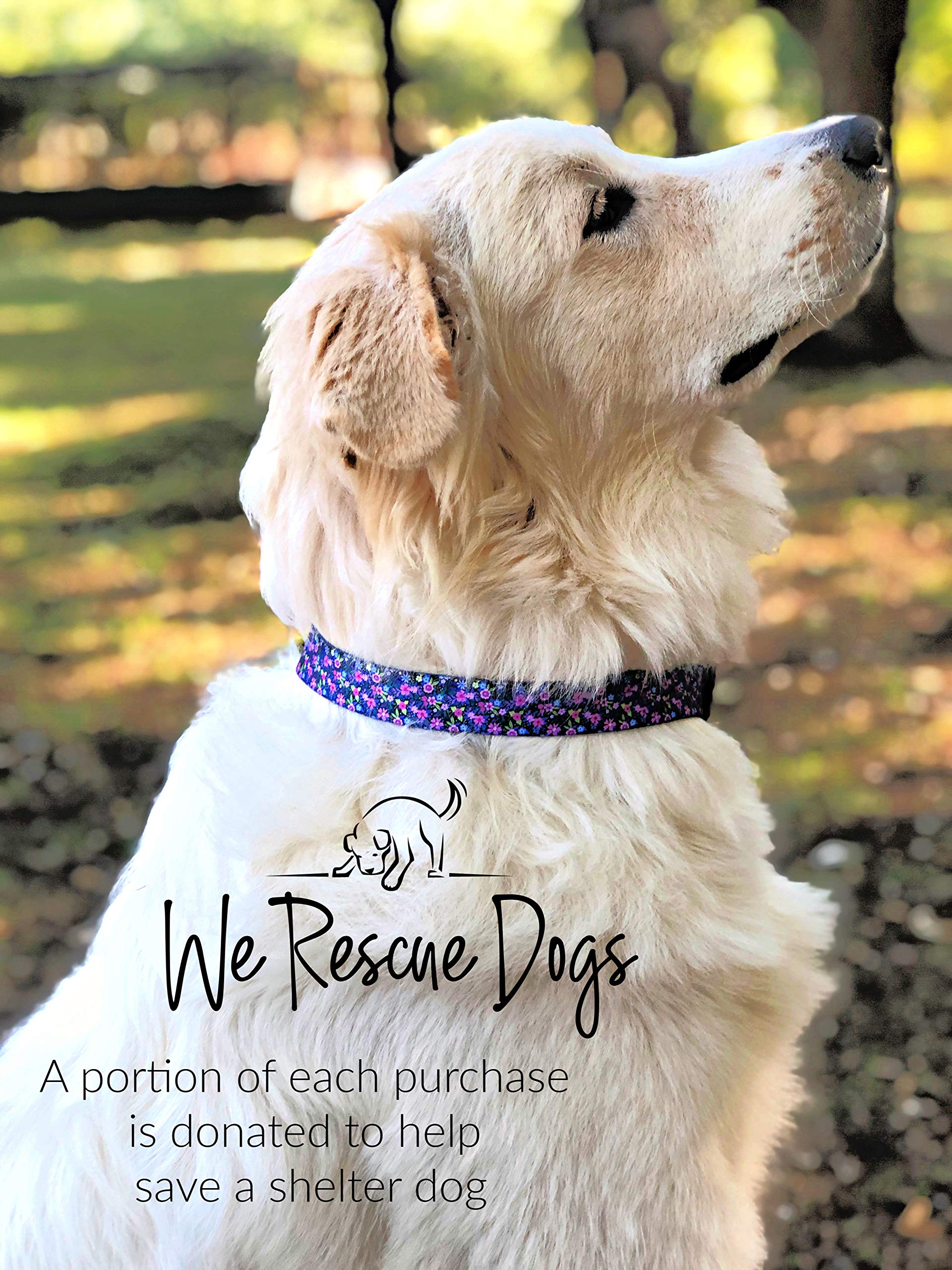 Lucky Love Dog Leash - Premium Durable Pet Leash with Vivid Floral Patterns (Primrose, Small) - Perfect for Small Dogs, Daily Walks & Outdoor Adventures