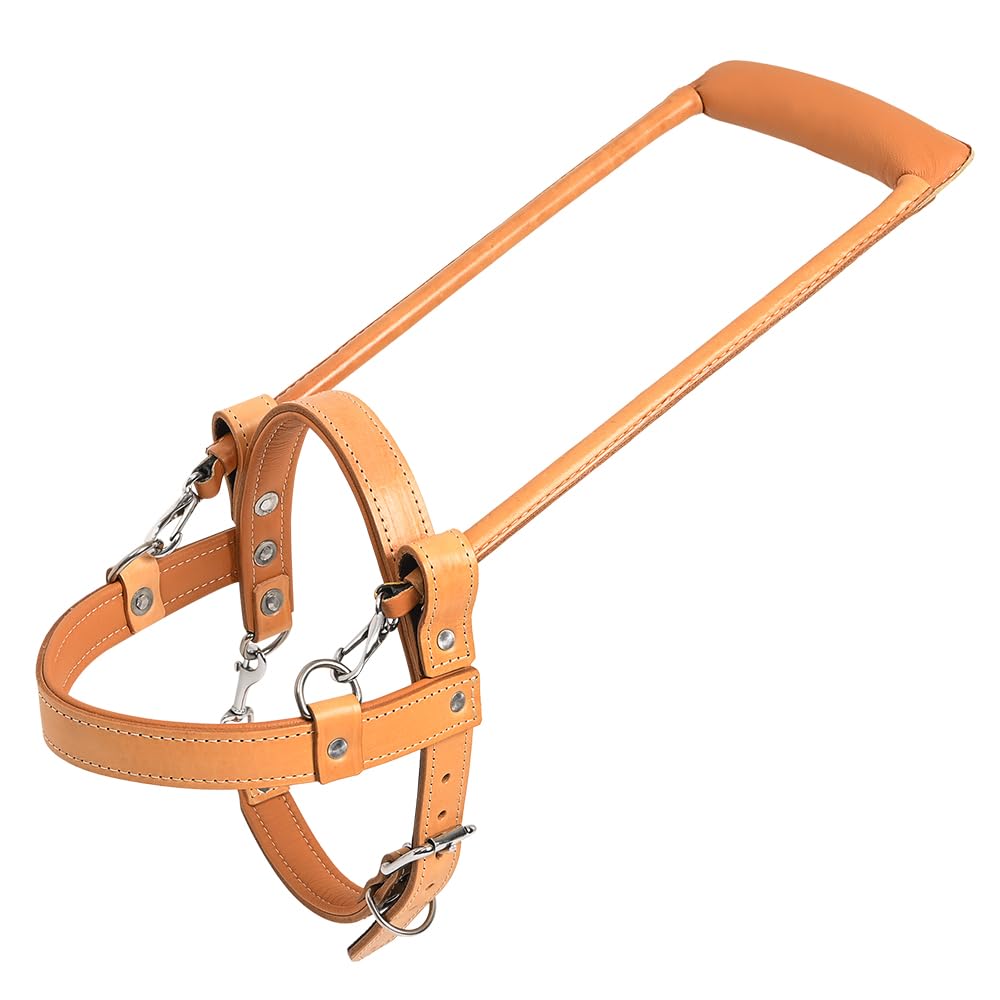 HILASON Genuine Leather Guide Dog Harness with Handle - Adjustable Padded Straps, Breathable Design for Training & Therapy Dogs (Brown/Tan) | Perfect for Service Dogs, Mobility Assistance & Outdoor Adventures