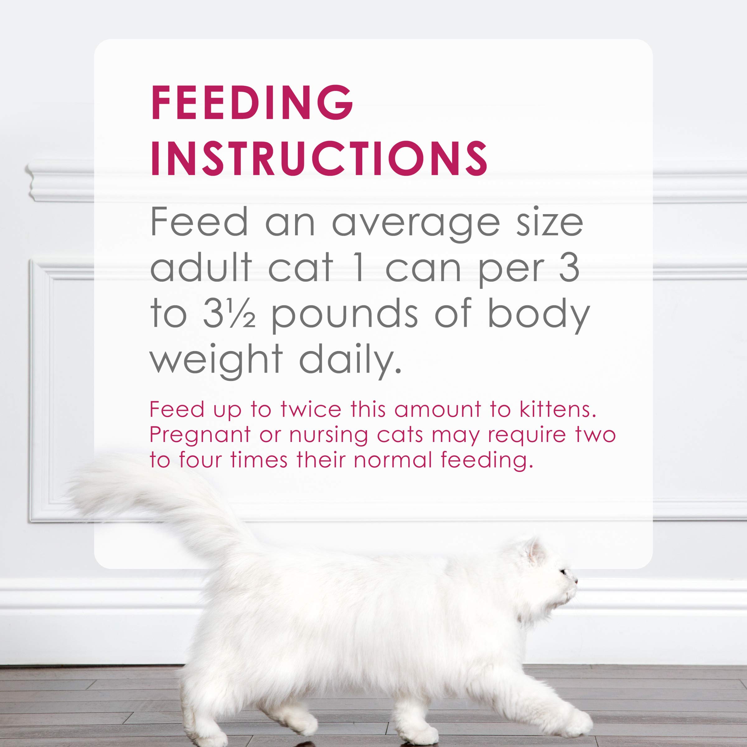 Purina Fancy Feast Grain Free Wet Cat Food - Chicken Pate in 3oz Cans (Pack of 24) | High Protein Meal for Adult Cats | Perfect for Picky Eaters & Daily Feeding Routine