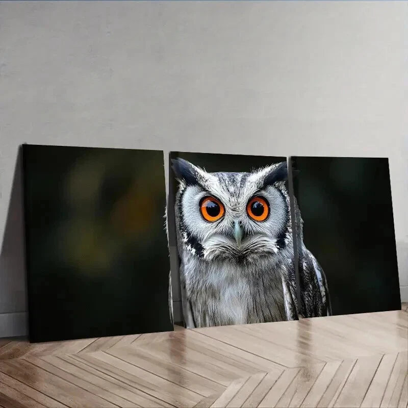 3-Piece Owl Wall Art Set - Orange Eyes Canvas Framed Print 50x70cm | High Quality Australian Made Ready-to-Hang Home Decor | Perfect for Living Room, Bedroom & Office Wall Decor