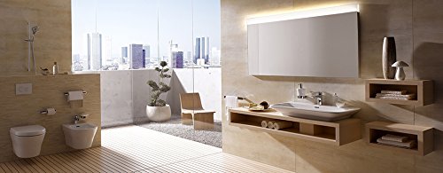 Kohler Strainer Body 21166-PGD - Premium Bathroom Sink Drain Filter for Easy Cleaning & Maintenance
