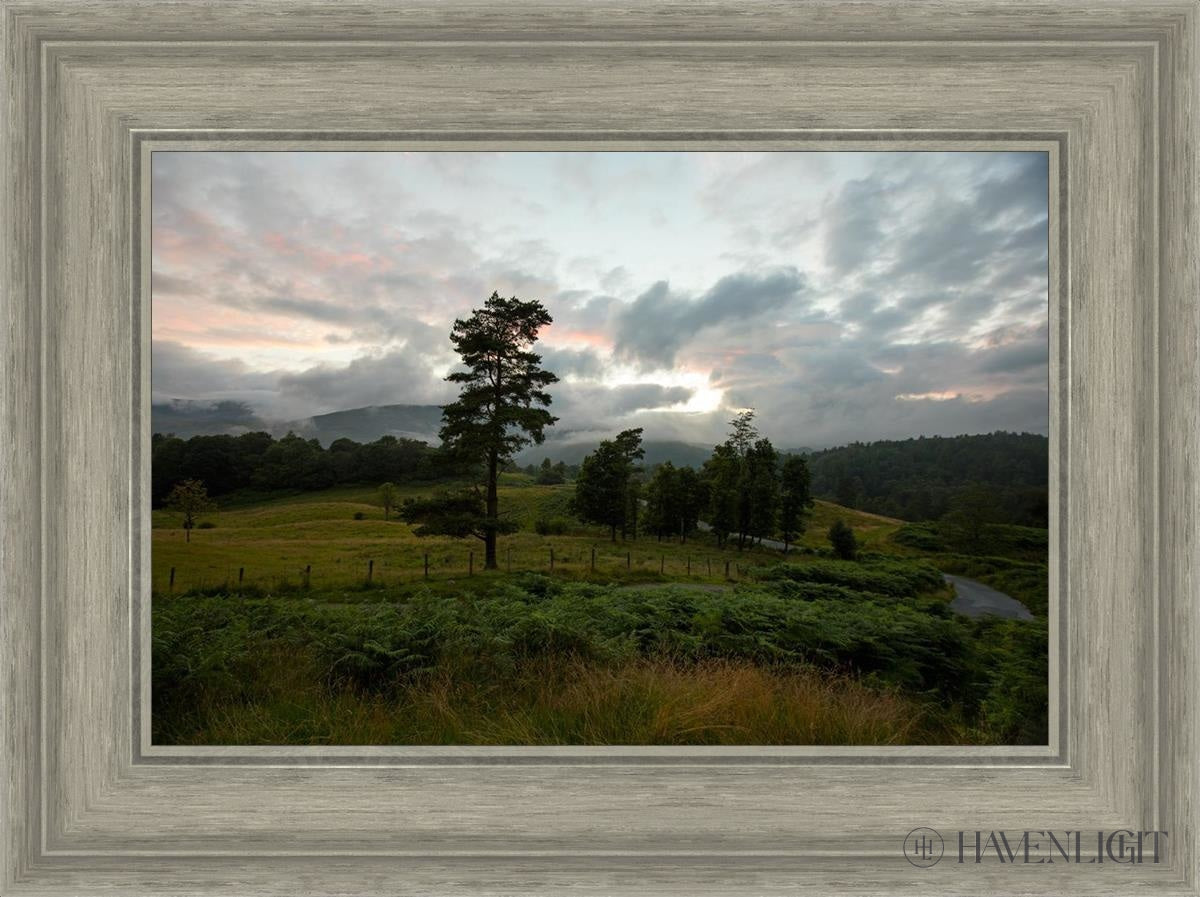 Plate 3 Tarn Hows Above Ambleside - Premium Decorative Wall Plate for Home & Office Decor | Perfect for Living Room, Dining Room, or Gift Giving