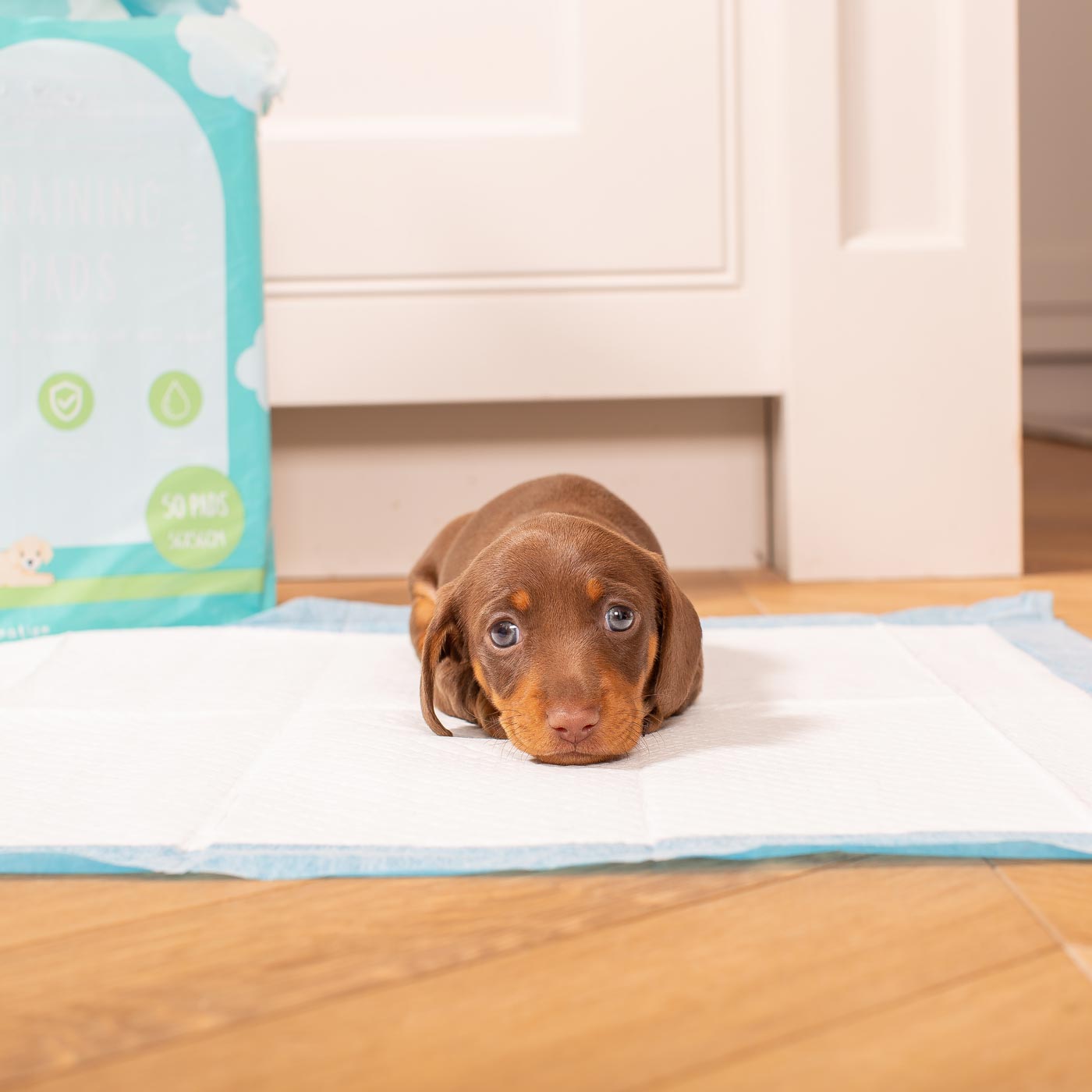 Premium Puppy Training Pads - Super Absorbent Leak Proof Triple Pack for Small & Large Dogs - Perfect for Housebreaking, Crate Training & Travel Use