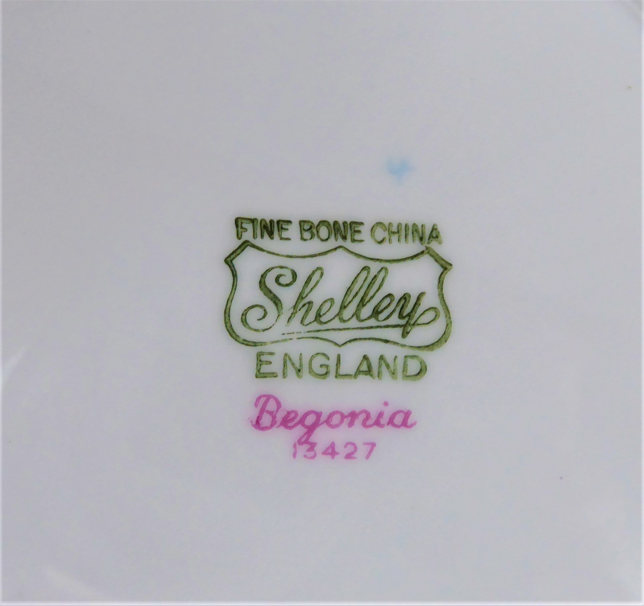 Vintage Shelley Dainty Begonia 6-Inch Bread & Tea Plates Set of 2 - 1950s Bone China for Afternoon Tea, Dessert Serving, and Elegant Table Setting