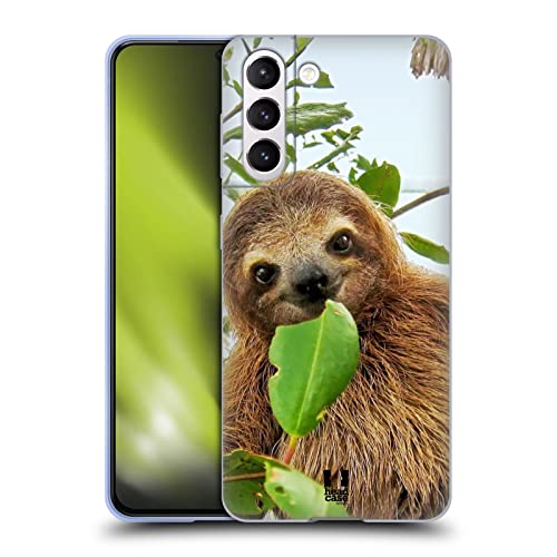 Three Toed Sloth
