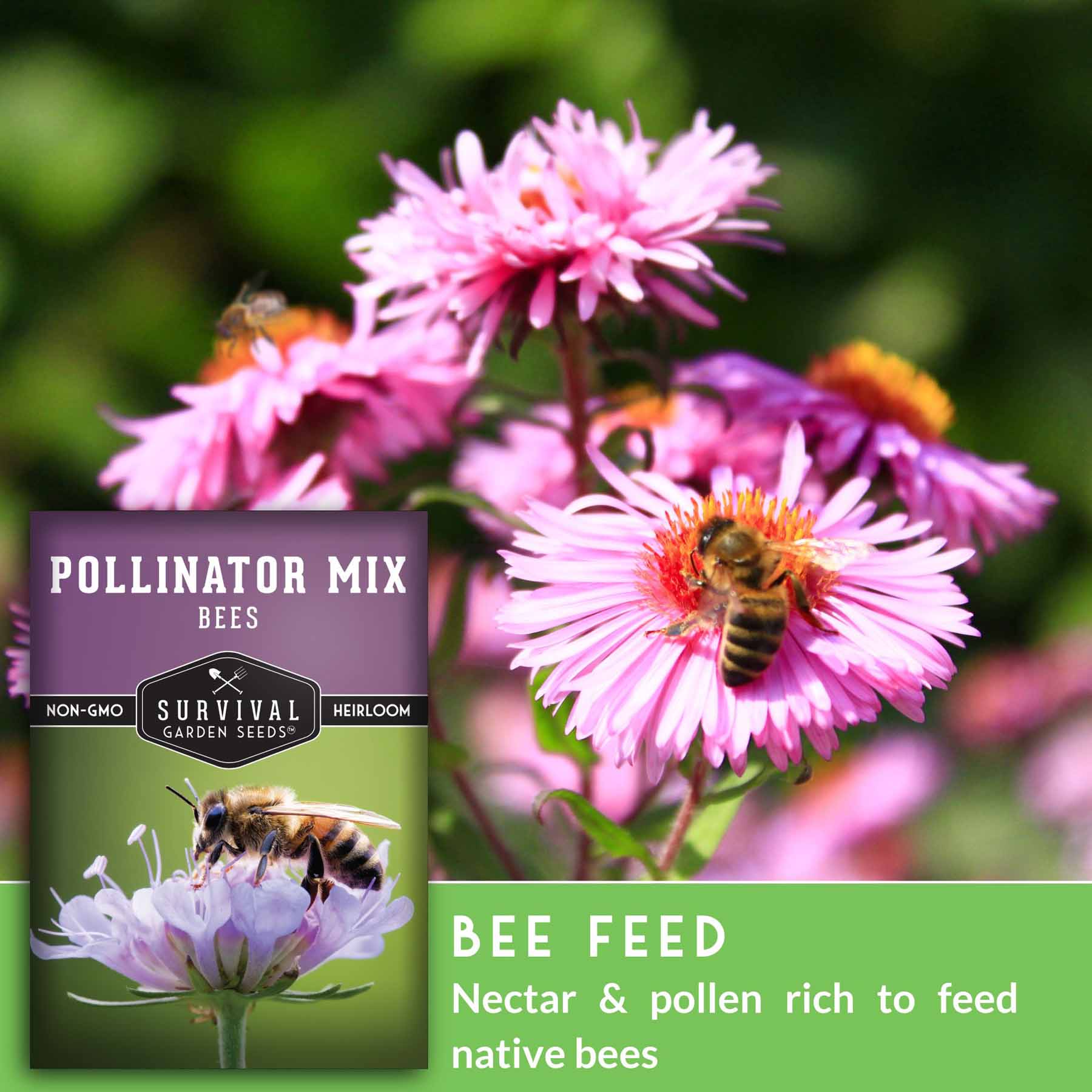 **Pollinator Flower Seeds Mix - Attract Bees & Butterflies to Your Garden - Perfect for Backyard, Patio & Pollinator Gardens**