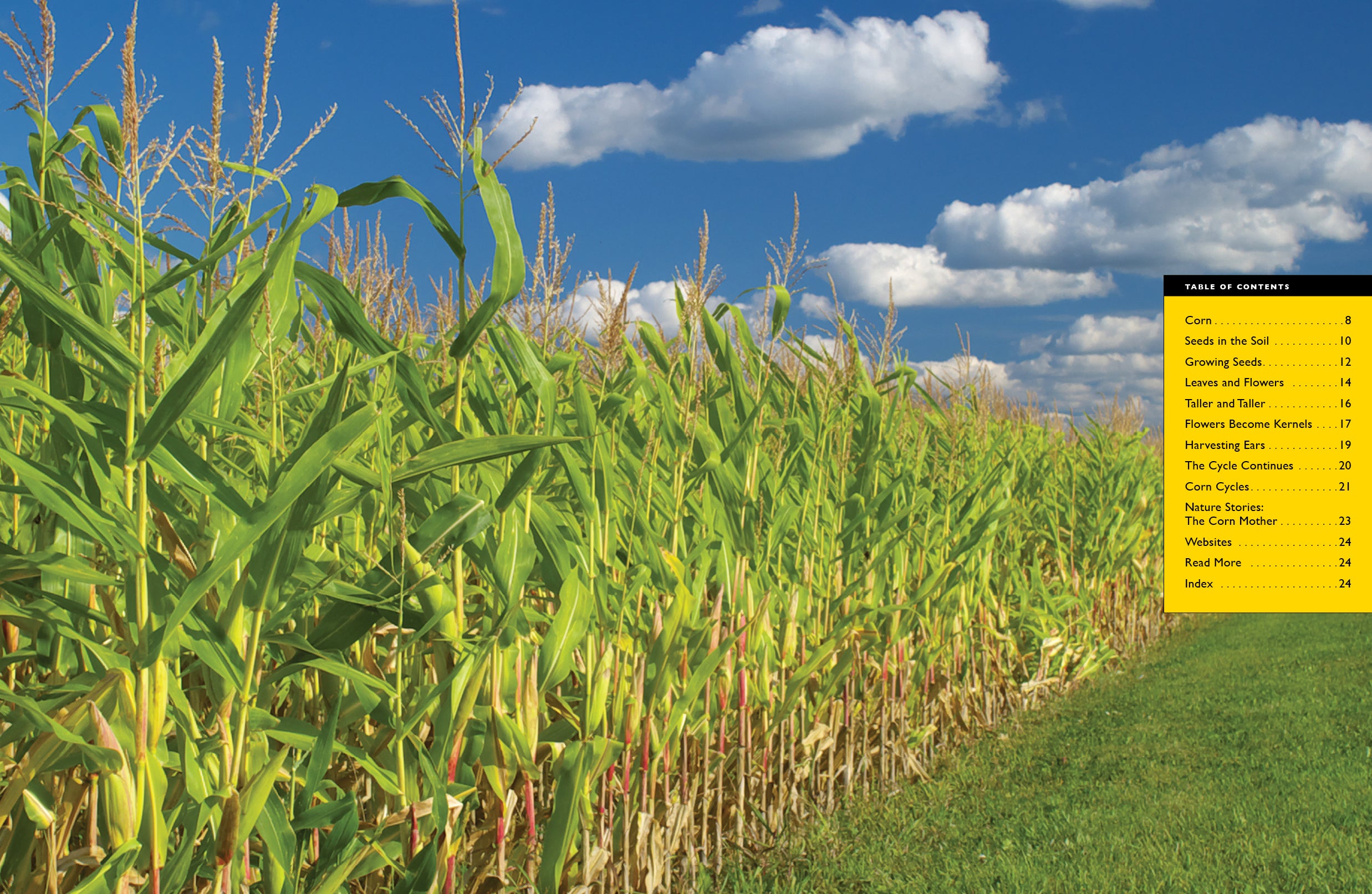 Corn Farming & Uses - 9781640268524 | Fresh Sweet Corn for Cooking, Grilling & Healthy Recipes