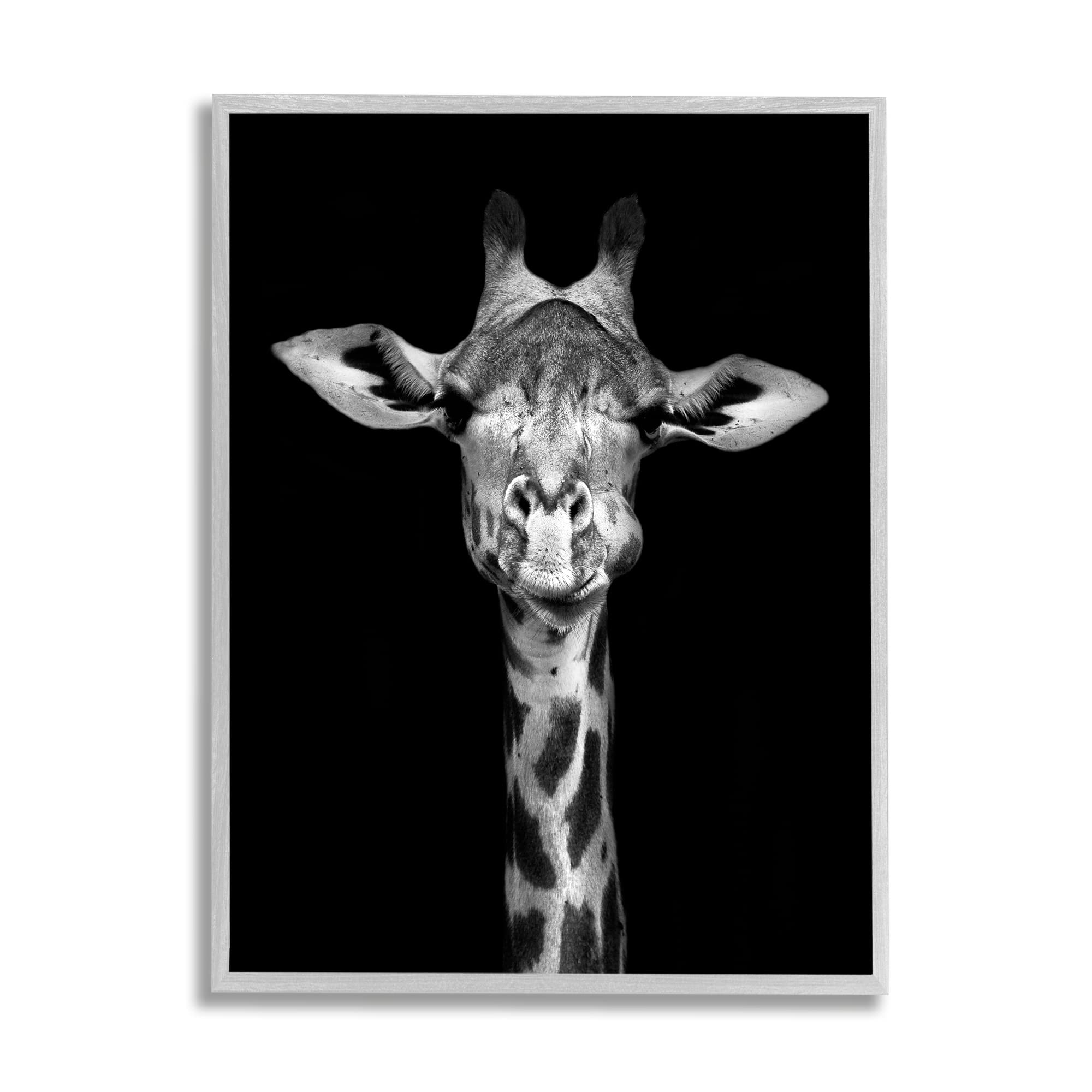 Stupell Industries Black and White Zebra Stripes Detailed Photography Portrait Wall Art - Modern Home Decor for Living Room, Bedroom & Office