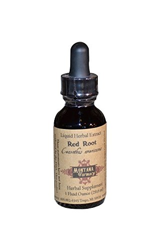 Organic Red Root Extract Tincture - Herbal Supplement for Circulation & Detox - Supports Immune System & Lymphatic Health - Perfect for Daily Wellness Routine & Natural Detox Programs