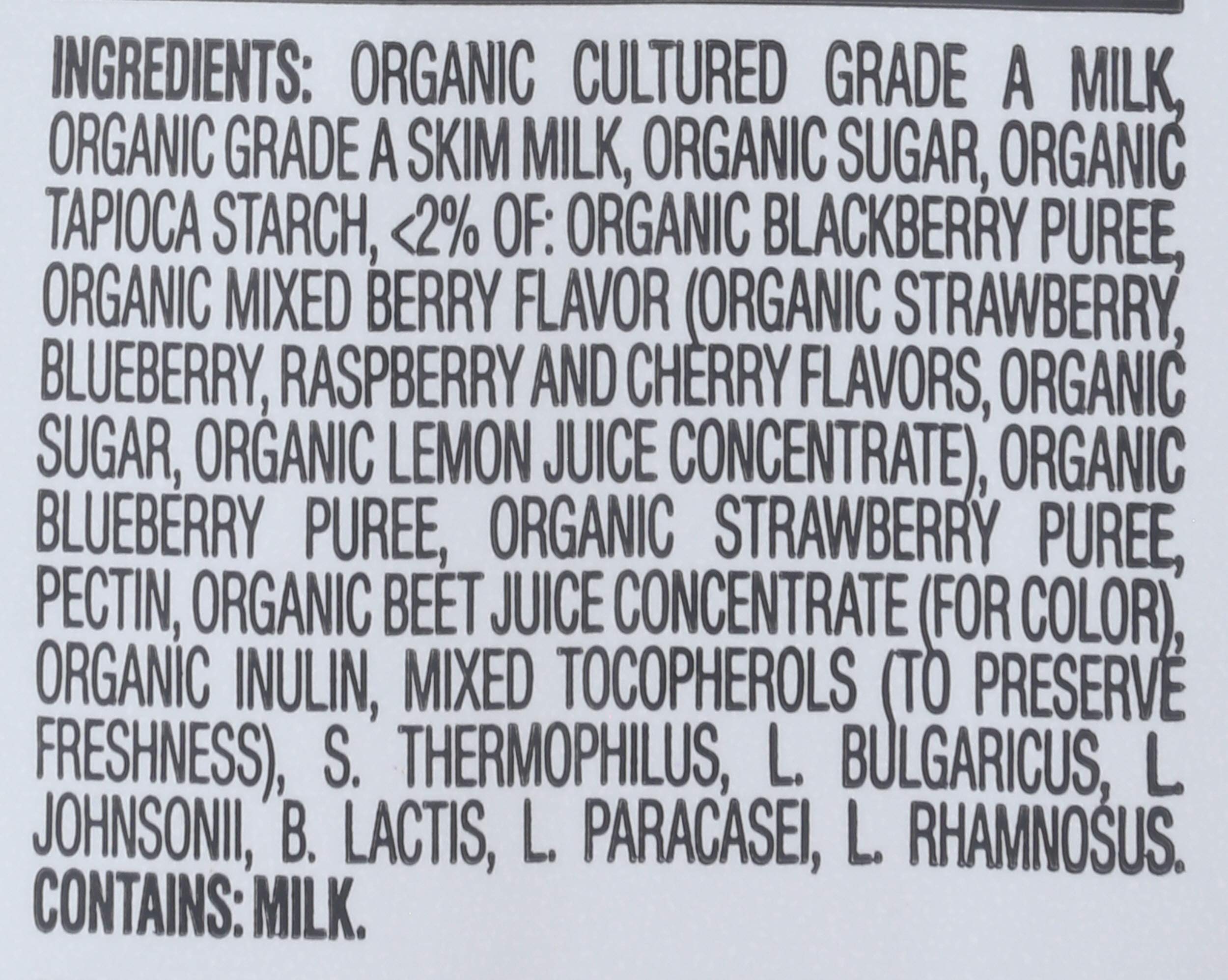 Organic Mixed Berry Yogurt Snacks for Babies - Happy Baby 1oz Pouch | Healthy Toddler Snack for On-the-Go, Daycare & Travel