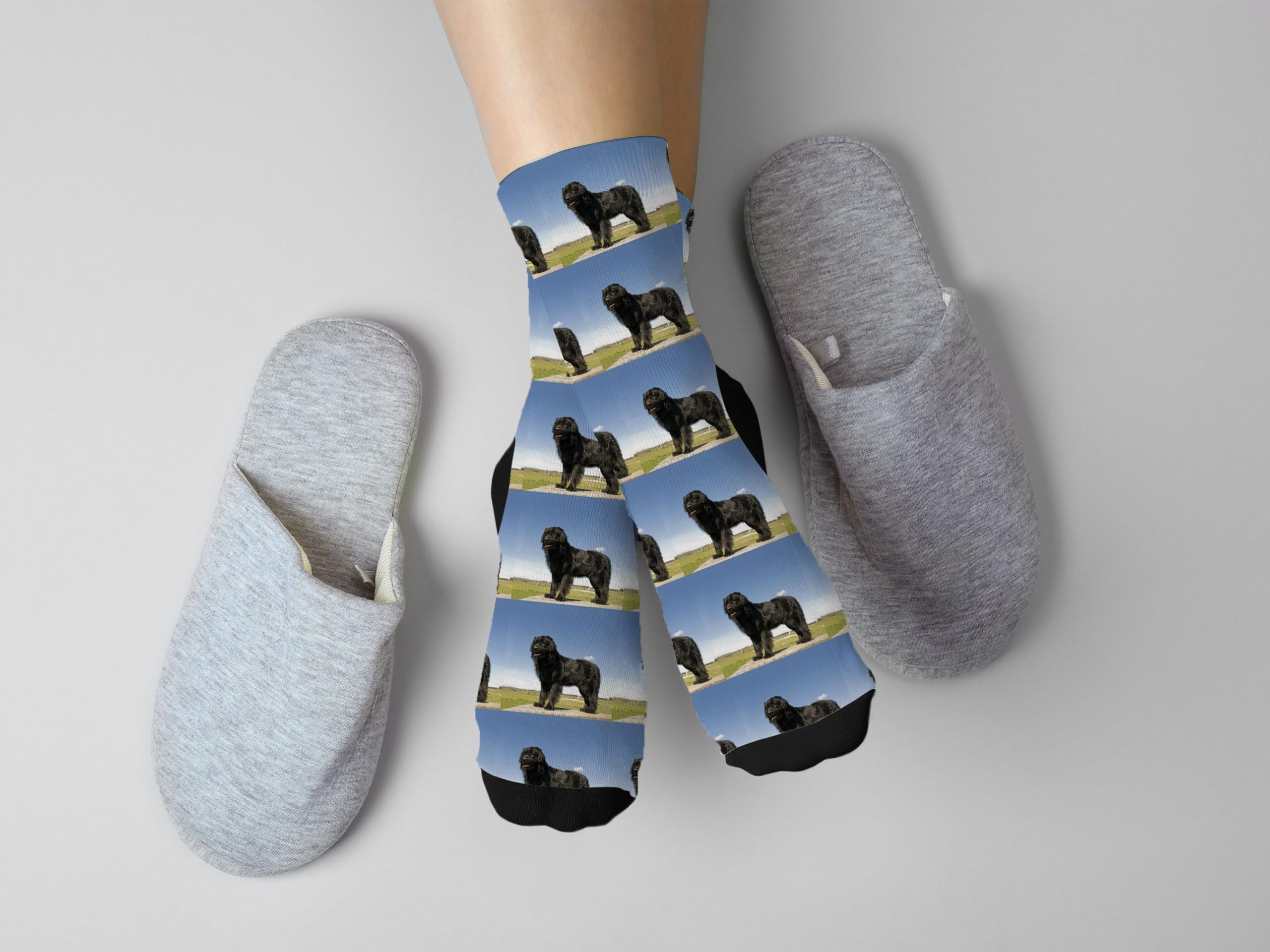 Newfoundland 1 Novelty Socks - Soft Ultra-Comfortable Funny Socks for Men & Women - Perfect Birthday Gift, Christmas Present - Ideal for Dog Lovers, Pet Owners & Newfoundland Fans