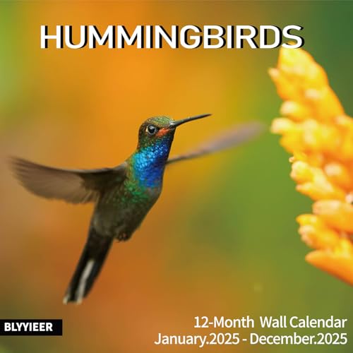 Hummingbird03