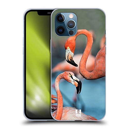 Two Great Flamingos