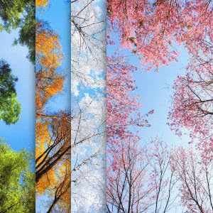 Four Seasons