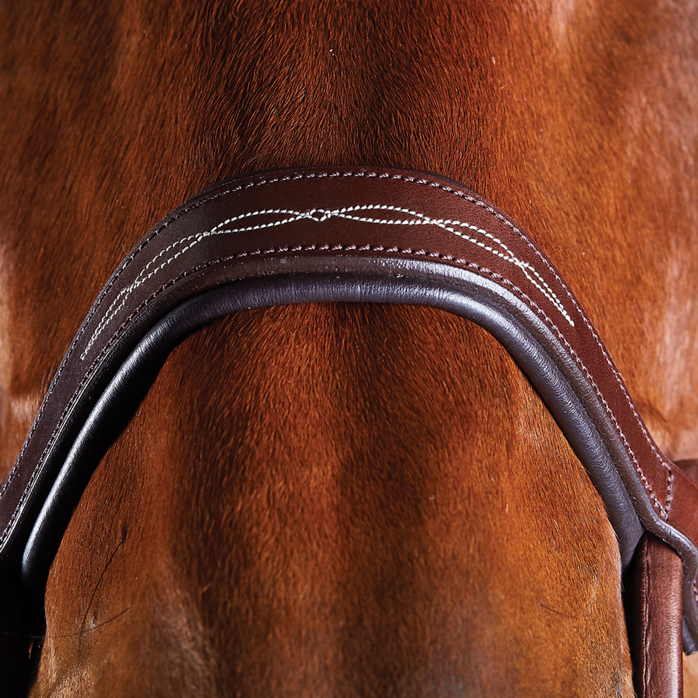 Premium ComFiTec Fancy Stitch Bridle for Horses - Genuine Leather, Brown, Cob Size - Perfect for English Riding, Dressage & Equestrian Training
