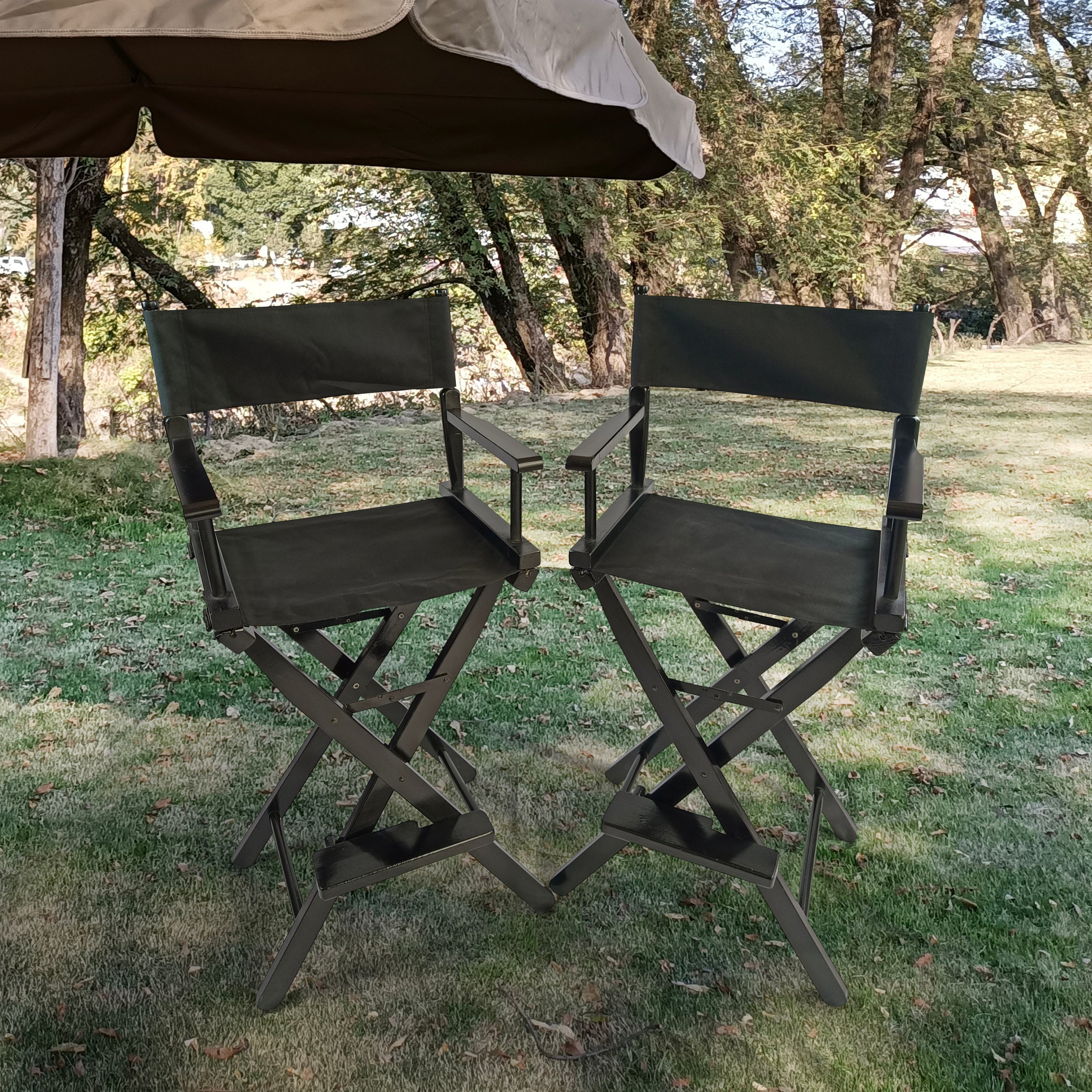 Foldable Black Frame Director's Chair Set of 2 - Heavy Duty Canvas Camping Chairs for Adults - Perfect for Outdoor Movies, Beach Trips & Backyard BBQs