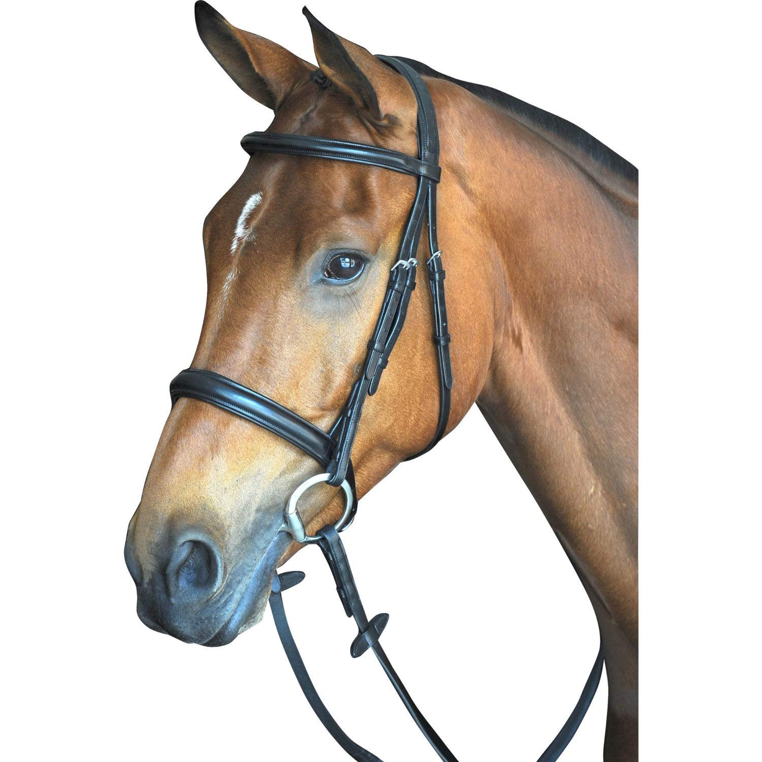 Comfort Crown Padded Bridle for Warmblood Horses - Black for Riding