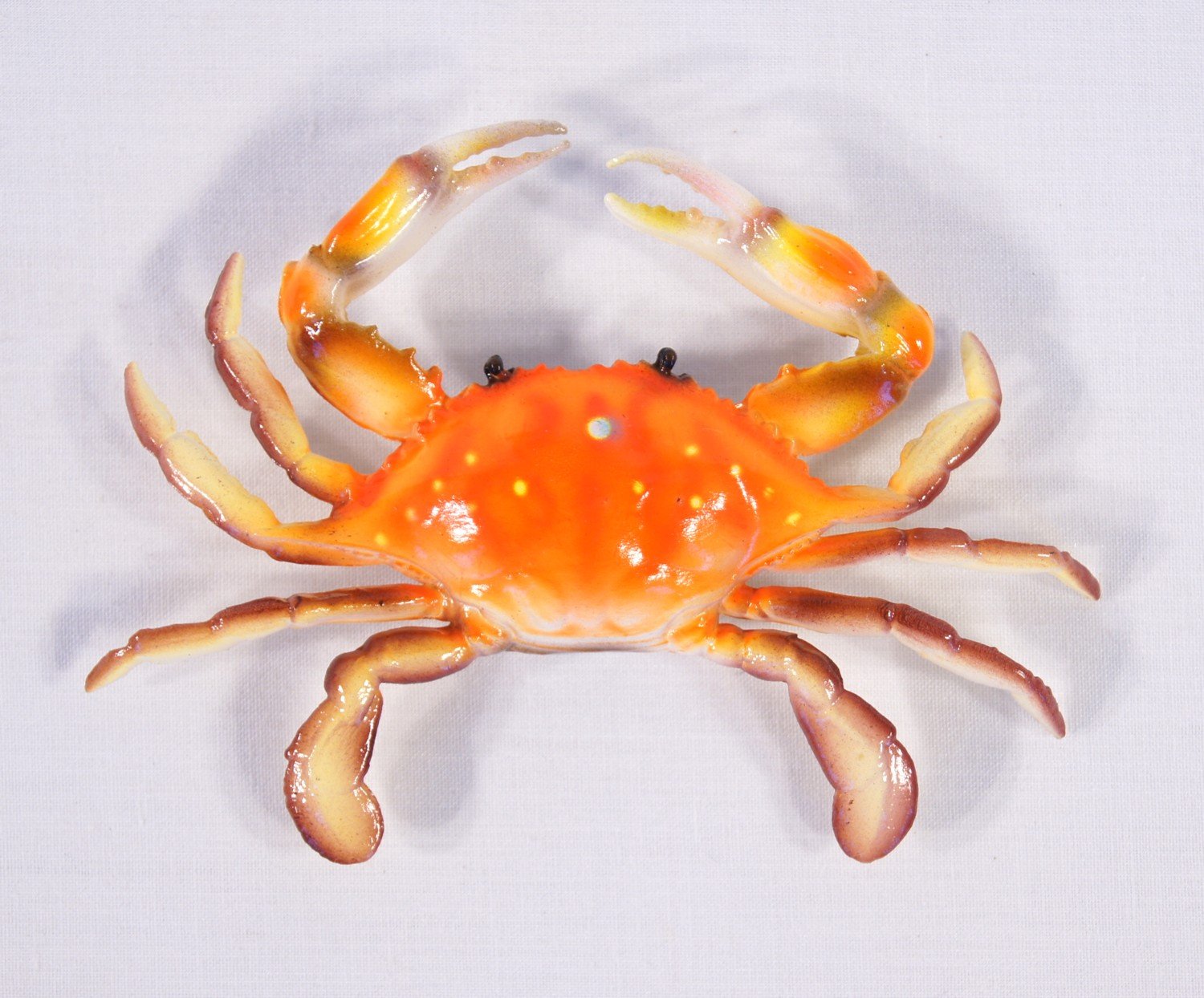 Handpainted Red and Blue Crab Fridge Magnet - Unique Kitchen Decor, Gift for Seafood Lovers, Perfect for Refrigerators and Metal Surfaces