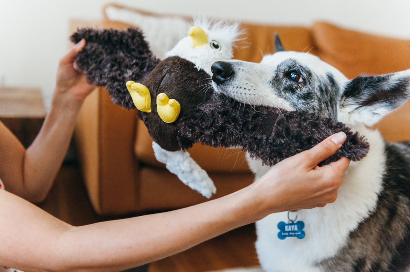 Edgar the Eagle Plush Dog Toy - Fetching Flock™ Chew-Resistant Squeaky Stuffed Animal for Medium & Large Dogs | Perfect for Fetch, Tug-of-War & Cuddling | Pet P.L.A.Y.