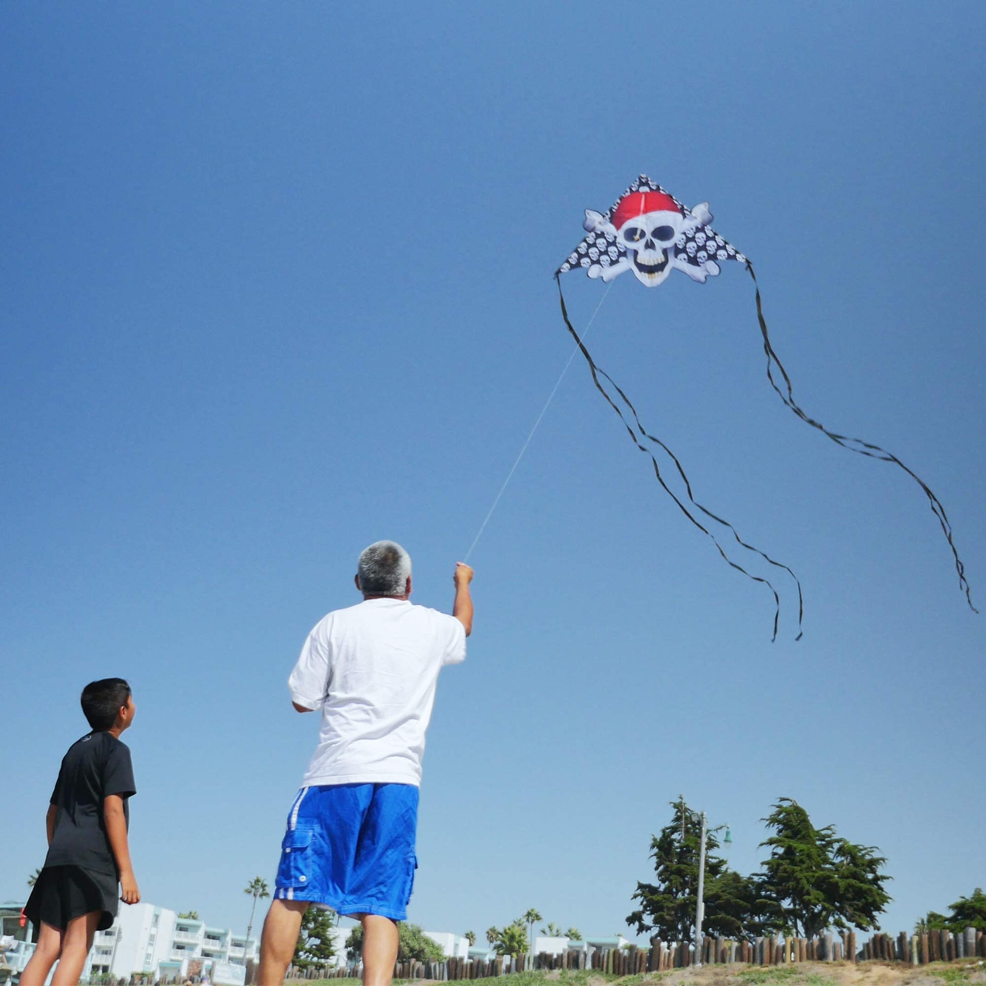 WindNSun Delta XT Nylon Kite - Skull & Bones Design, 54 Inch Wide for Outdoor Beach & Park Flying