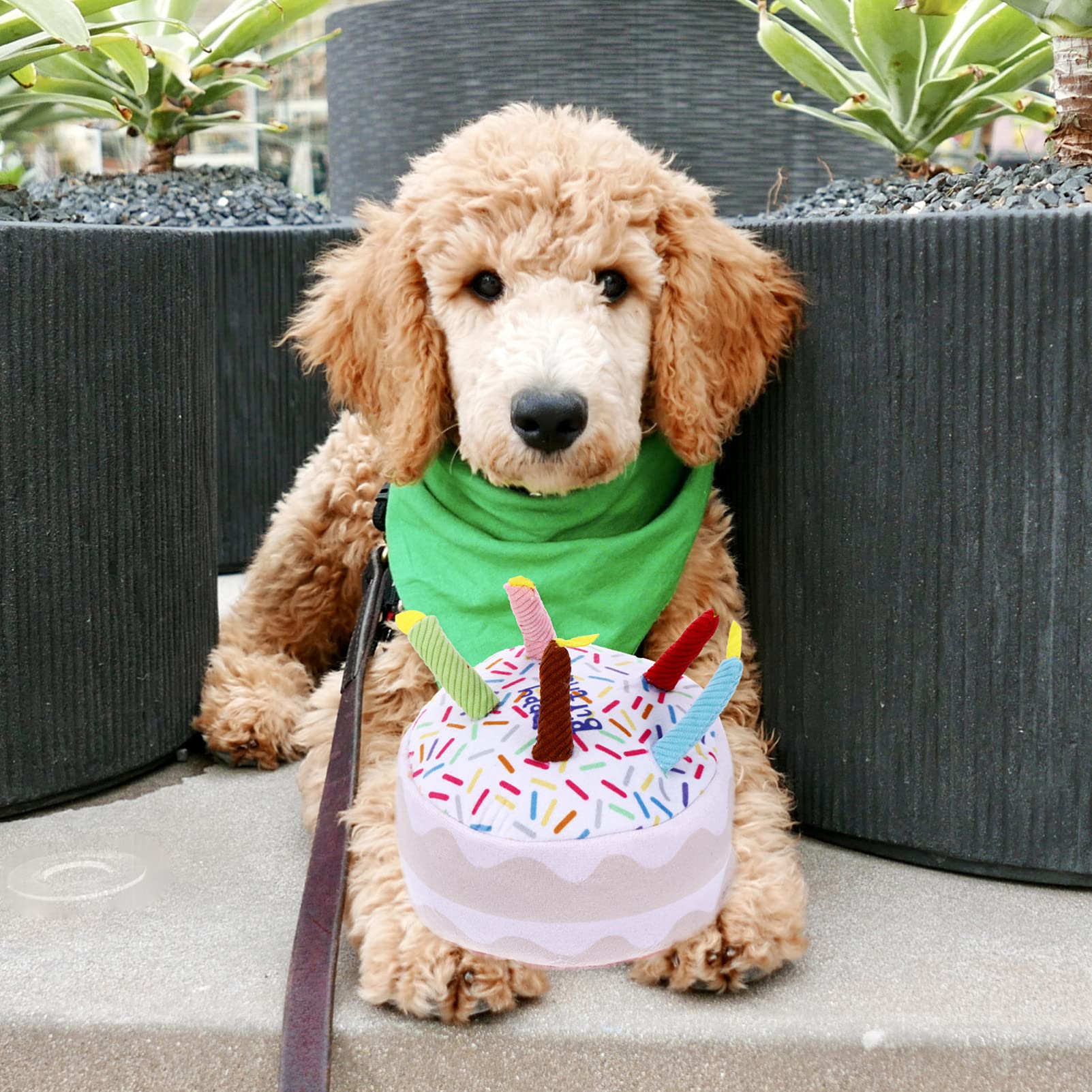 POPETPOP Pet Birthday Toy - Plush Puppy Chew Toy & Snuffle Pad for Dogs, Interactive Dog Treats & Grinding Toy, Perfect Gift for Puppy Playtime, Training, and Birthday Celebrations