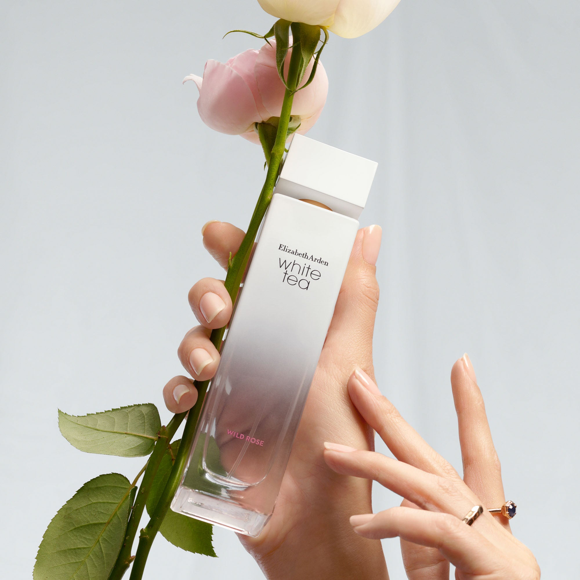 White Tea Wild Rose Eau De Toilette Spray for Women - Fresh Floral Fragrance Perfume | Perfect for Daily Wear, Date Night & Special Occasions