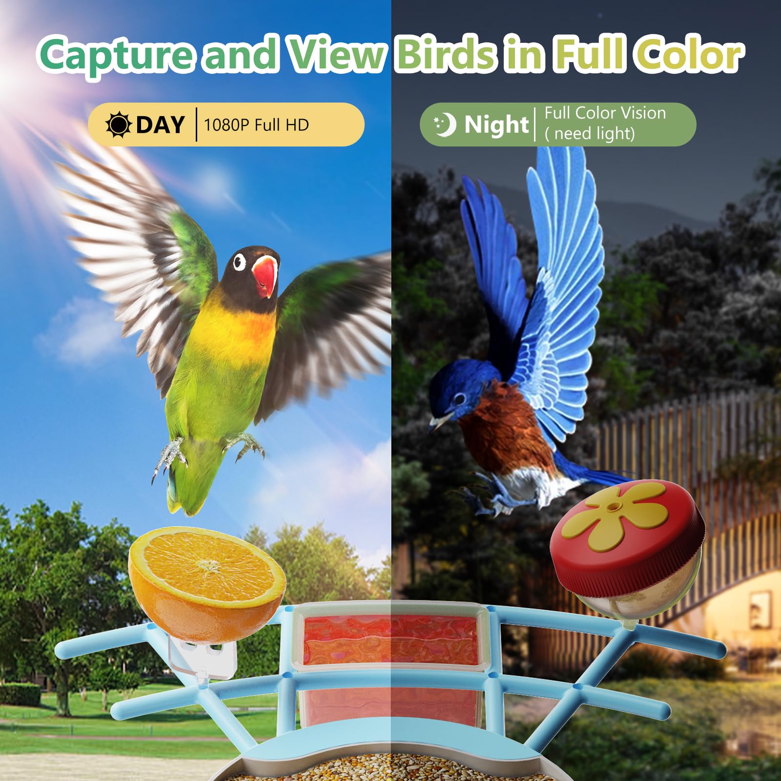 Smart Bird Feeder with Camera - Solar Powered Outdoor Bird Watching House, Full HD AI Recognition & Auto Video Capture - Perfect for Bird Lovers & Wildlife Enthusiasts (Great for Backyard, Garden & Nature Observation)