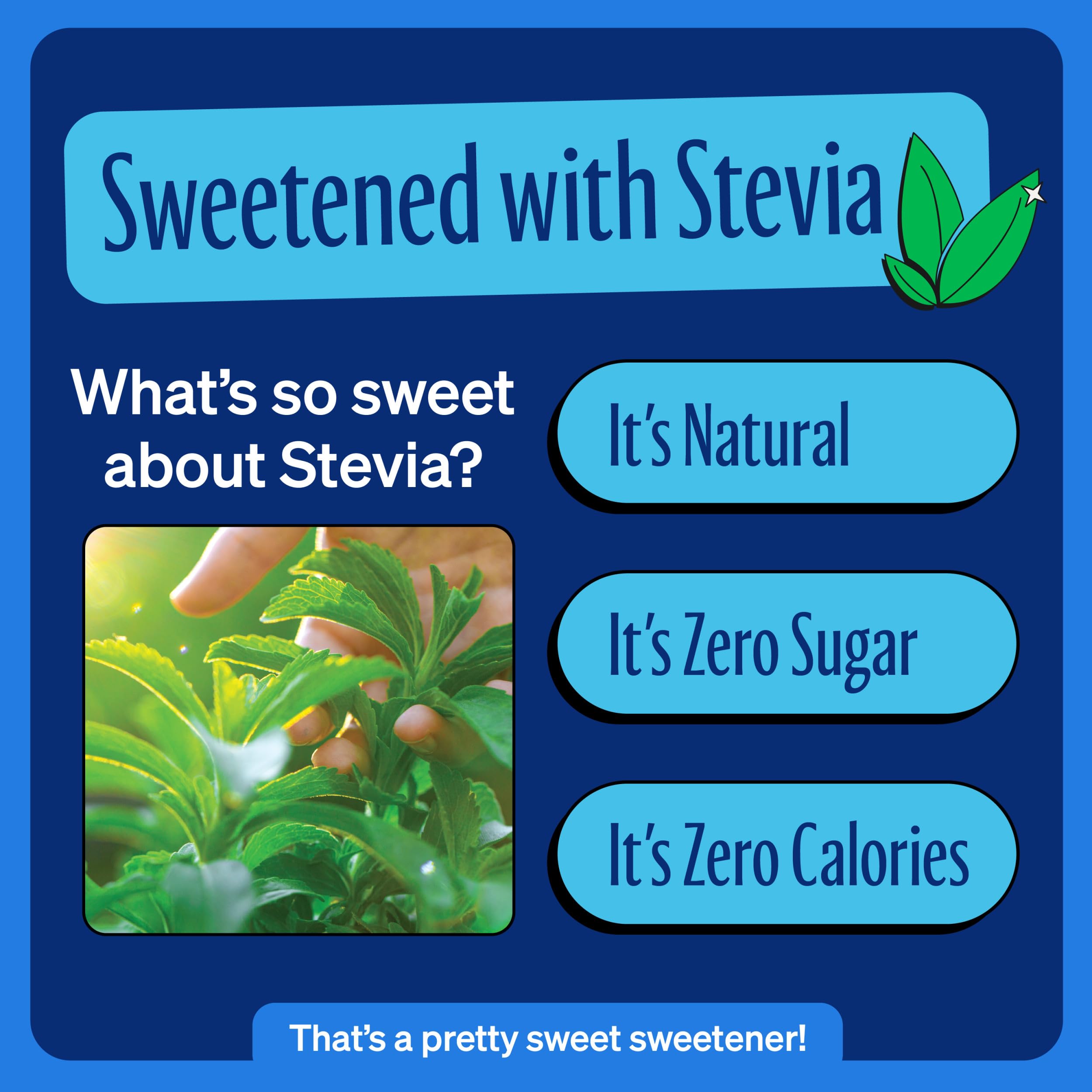 Zevia Zero Calorie Cola Soda - 6 Pack (12oz Cans) | Naturally Sweetened, No Artificial Ingredients | Perfect for Keto Diet & Healthy Lifestyle
