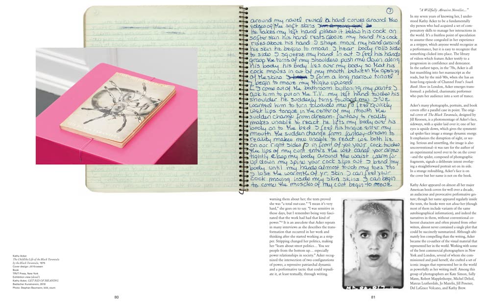 Kathy Acker Book - Get Rid of Meaning for Literary Studies