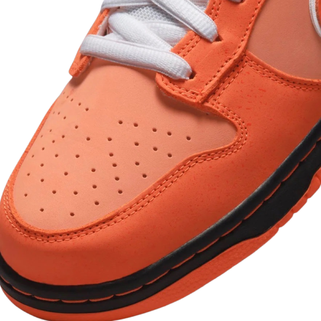 Nike SB Dunk Low 