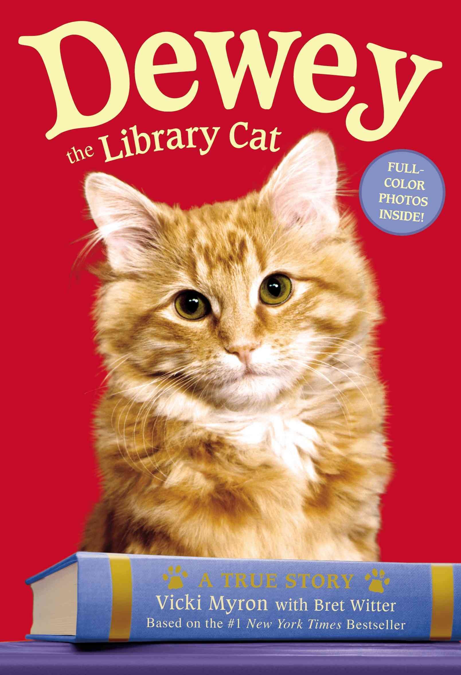 Dewey the Library Cat: A True Story - Heartwarming Book About a Beloved Library Cat - Perfect for Cat Lovers and Book Enthusiasts