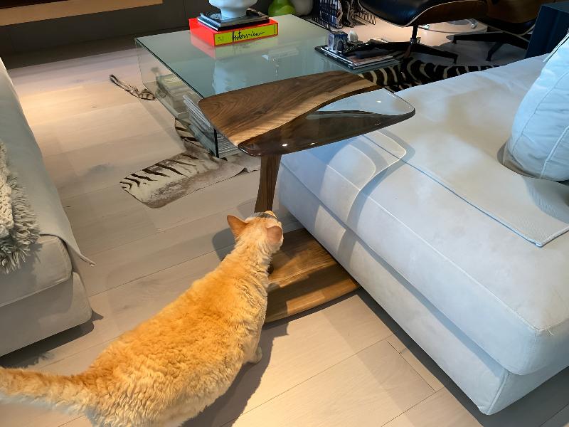 Luxury C-Shaped Resin End Table - Modern Side Table for Living Room, Bedroom, Office - Unique Home Decor Gift Idea for Housewarming, Wedding, Birthday