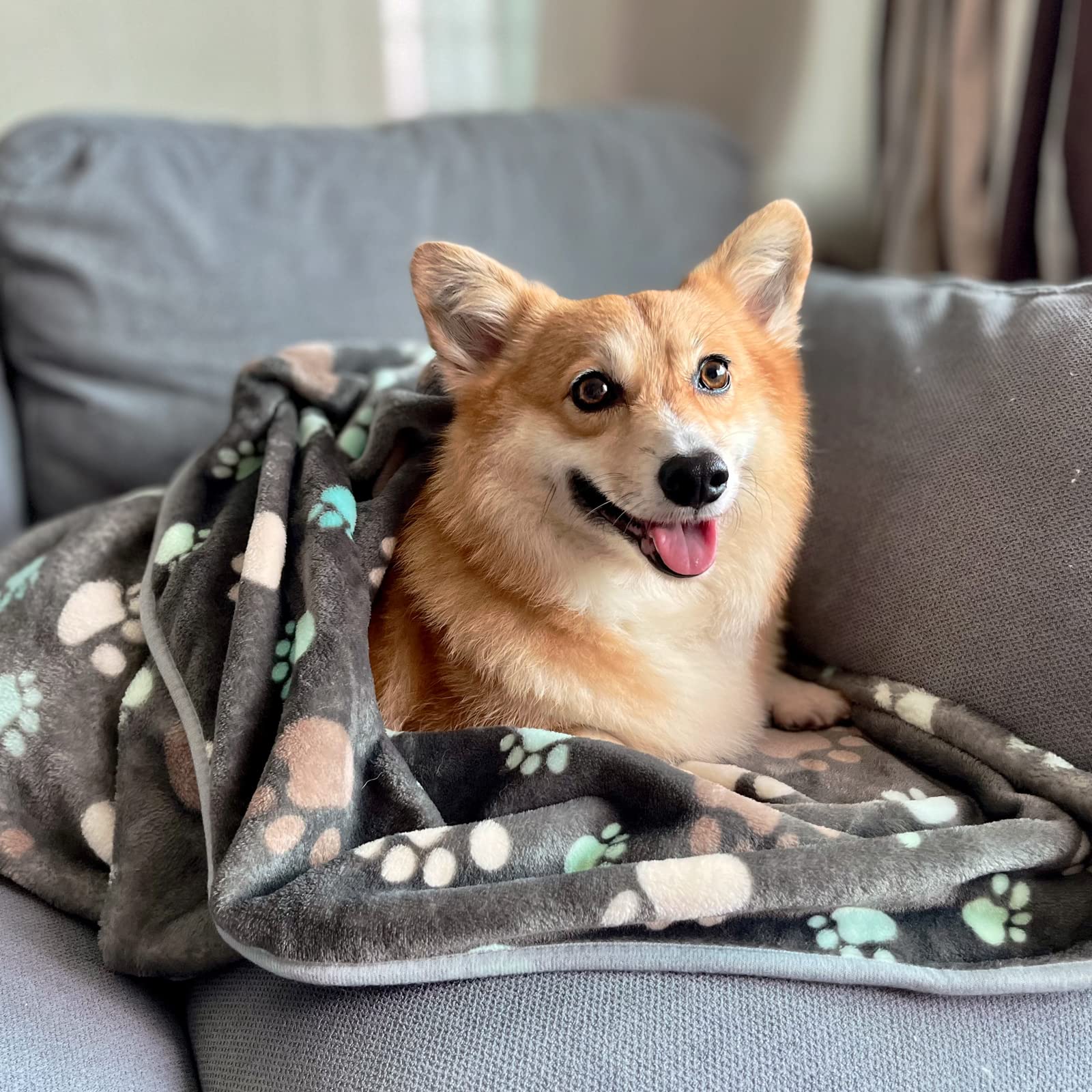 1 Pack 3 Super Soft Grey Paw Print Fleece Pet Blankets - Warm & Cozy Dog Bedding for Small Dogs & Puppies, Fluffy Cat Blanket (40