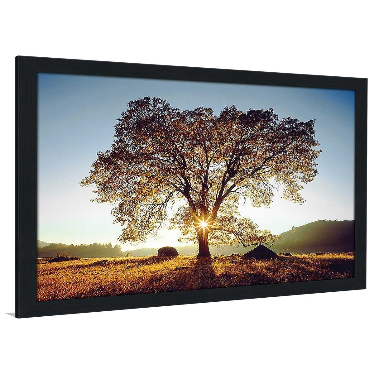 Black Oak Sunset Acrylic Wall Art - Modern Home Decor for Living Room, Bedroom & Office - Nature-Inspired Print for Stylish Interior Design
