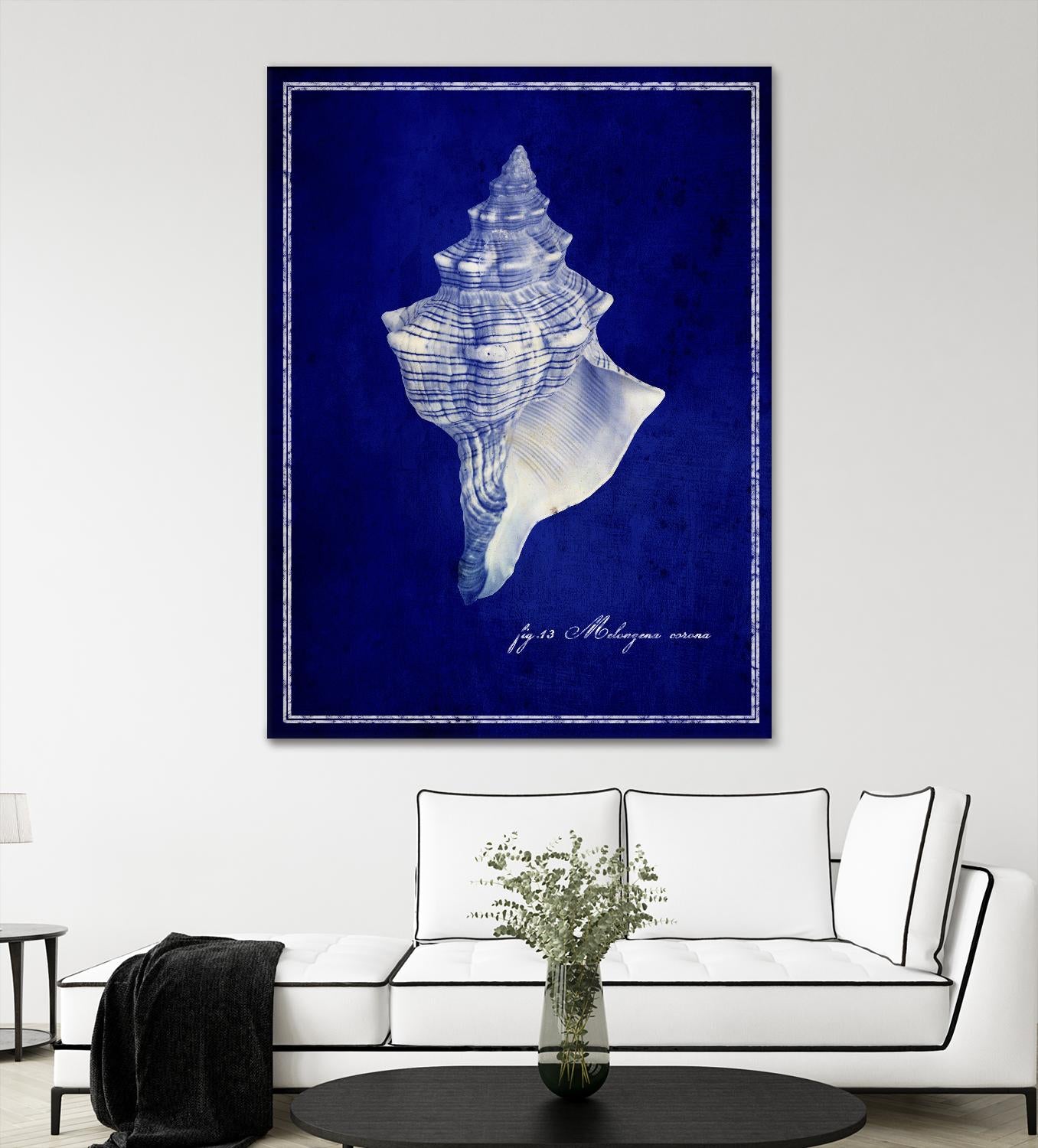 Natural Large Conch Shell for Beach Decor, Home Decor, and Coastal Theme Parties - Perfect for DIY Crafts, Wedding Centerpieces, and Tropical Themed Events