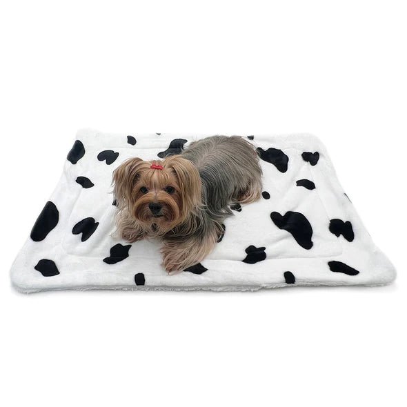 Double Layer Ultra Soft Plush Cow Print Blanket for Adults & Kids - Cozy Warm Throw for Bed, Sofa, and Travel