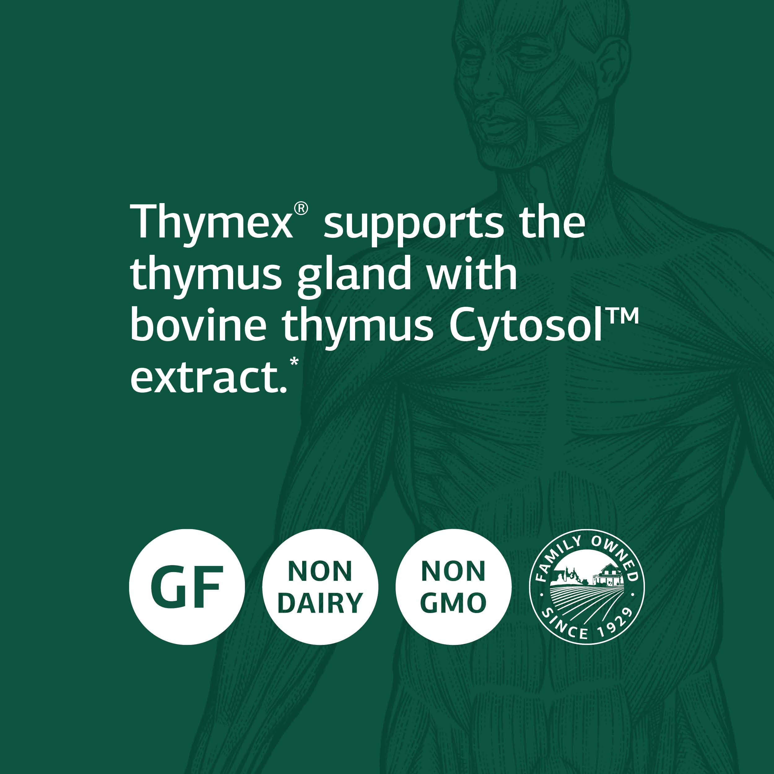 Standard Process Thymex - Whole Food Thymus Supplement for Immune Support & Cholesterol Balance with Vitamin C, Magnesium Citrate & Calcium Lactate | Gluten Free 330 Tablets | Supports Healthy Immunity & Cardiovascular Function for Active Lifestyles