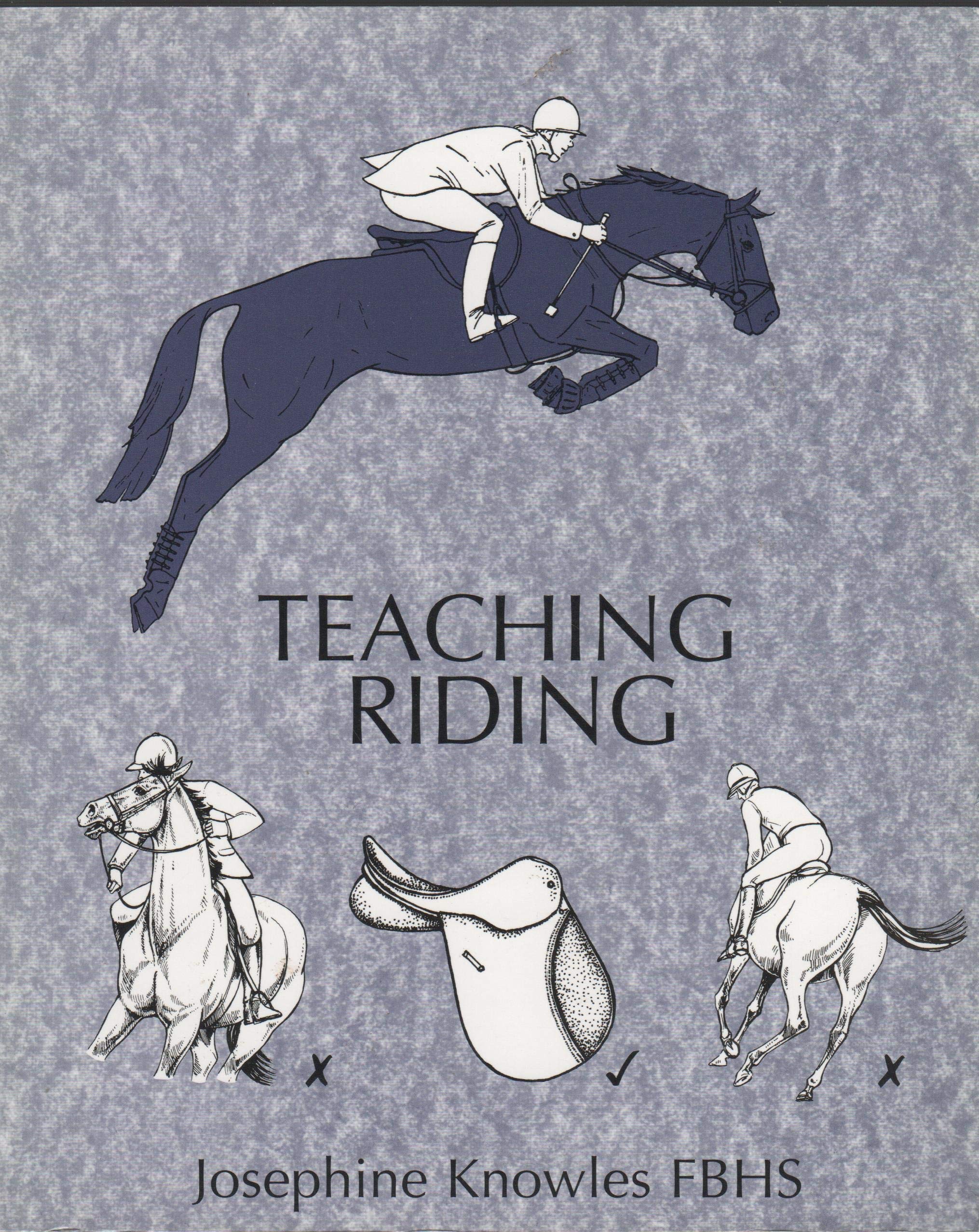 Teaching Riding: Allen Books for Students - Learn Horseback Riding Skills for Beginners & Equestrian Enthusiasts | Perfect for Riding Lessons & Training