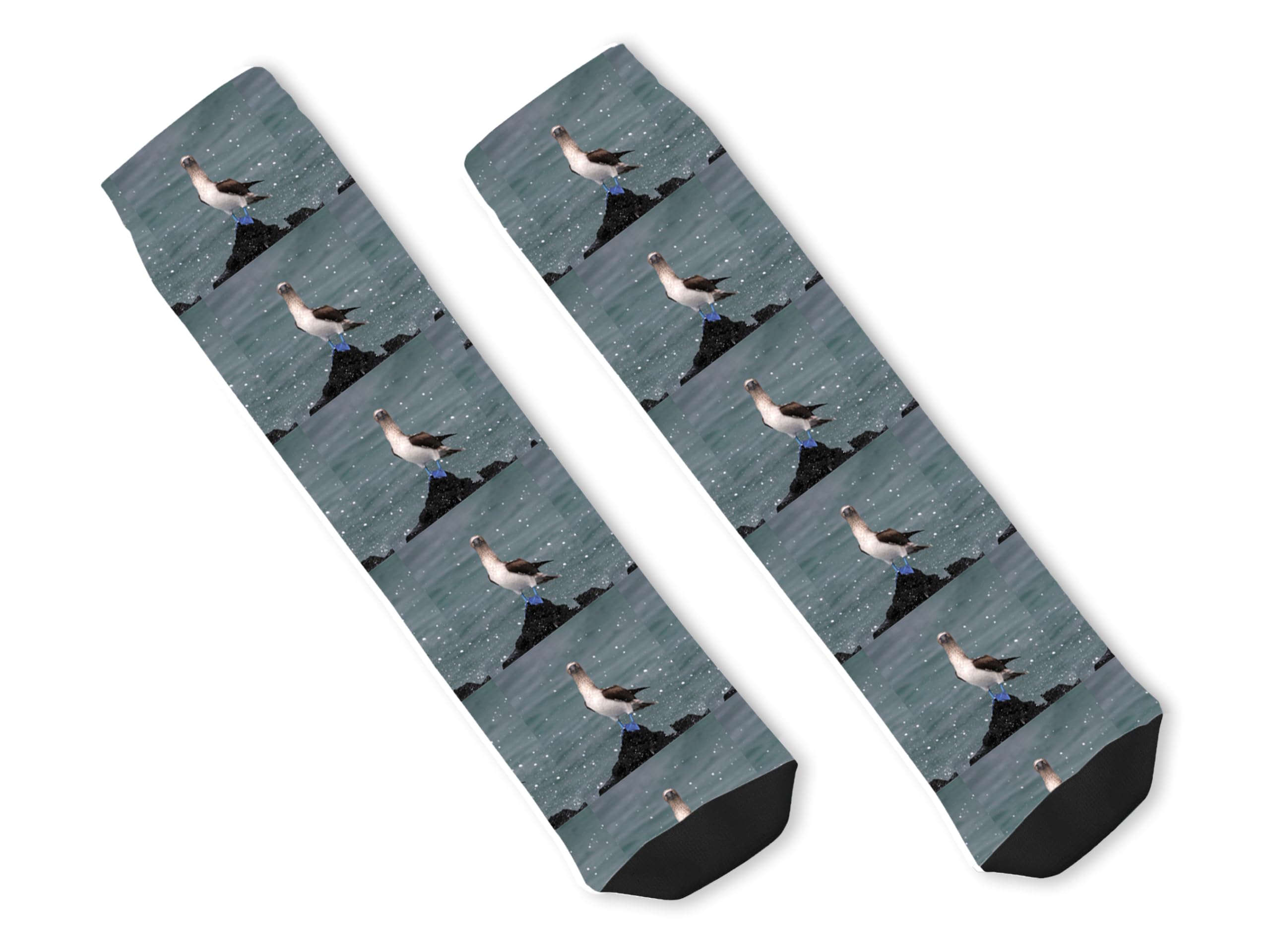 Blue Footed Booby Socks - Fun Galapagos Islands Novelty Socks with Sula Nebouxii Design | Perfect for Bird Lovers, Travel Enthusiasts & Unique Gift Ideas