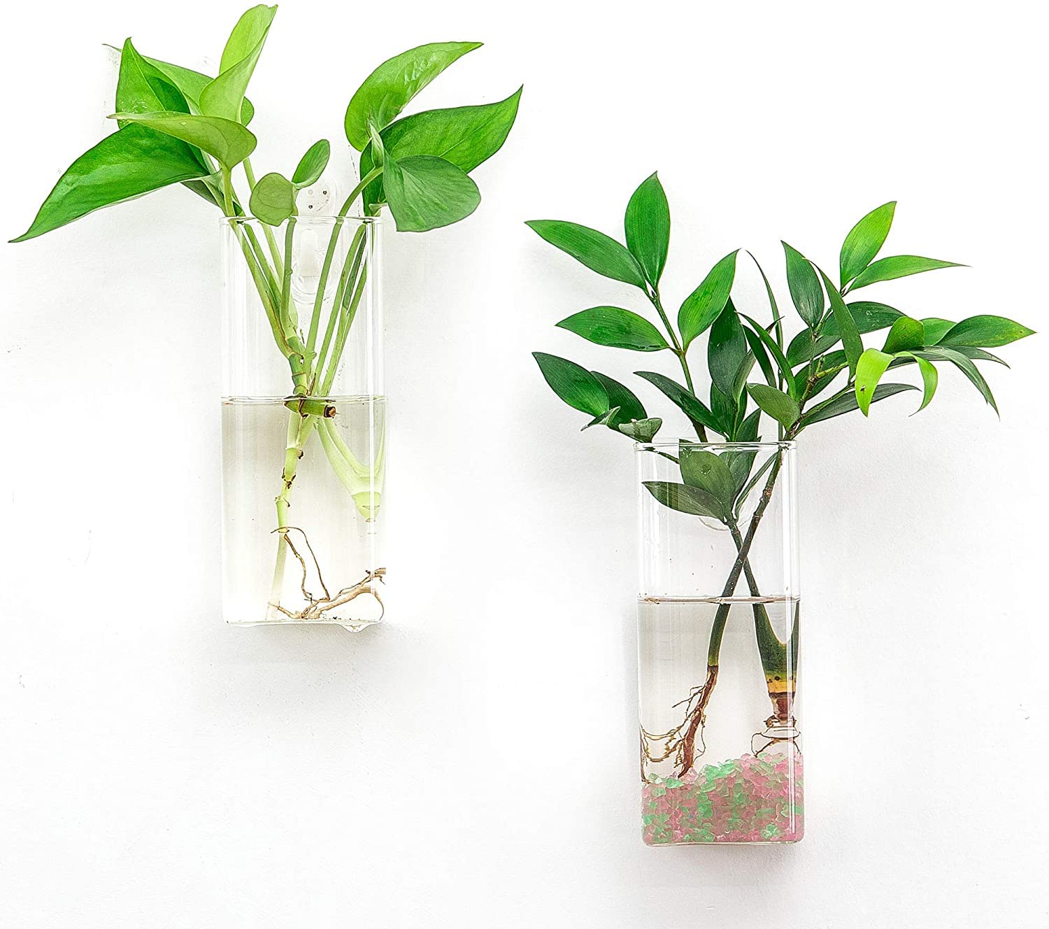 Fashionstorm Glass Wall Hanging Planters - Modern Glass Terrariums & Wall Vases for Indoor Plants | Perfect for Home Decor, Office, Living Room & Kitchen