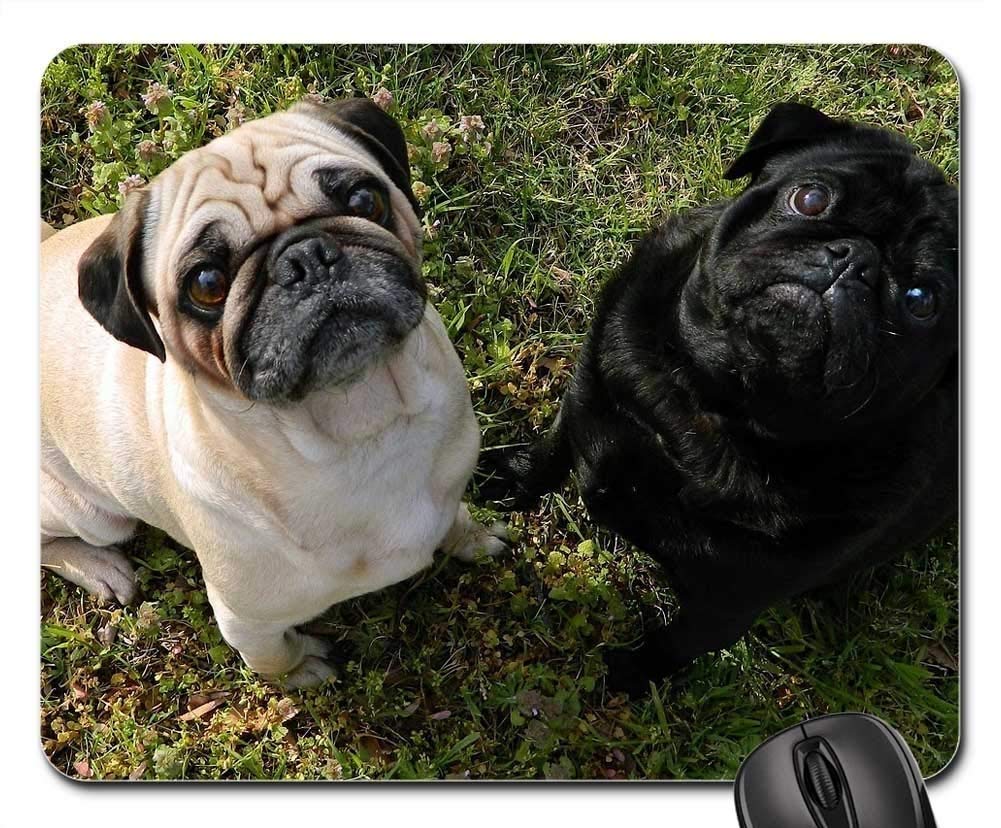 Premium Gaming Mouse Pad with Cute Pug Dog Design - Non-Slip Large Mouse Mat for PC, Laptop, Office & Home Use - Perfect Gift for Pet Lovers & Gamers