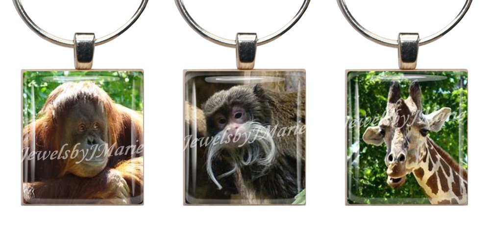 ZOO ANIMALS Scrabble Tile Wine Glass Charms - Set of 3 Stemware Markers for Party, Wedding, and Gift Giving - Perfect for Wine Tasting, Bridal Showers, and Hostess Gifts
