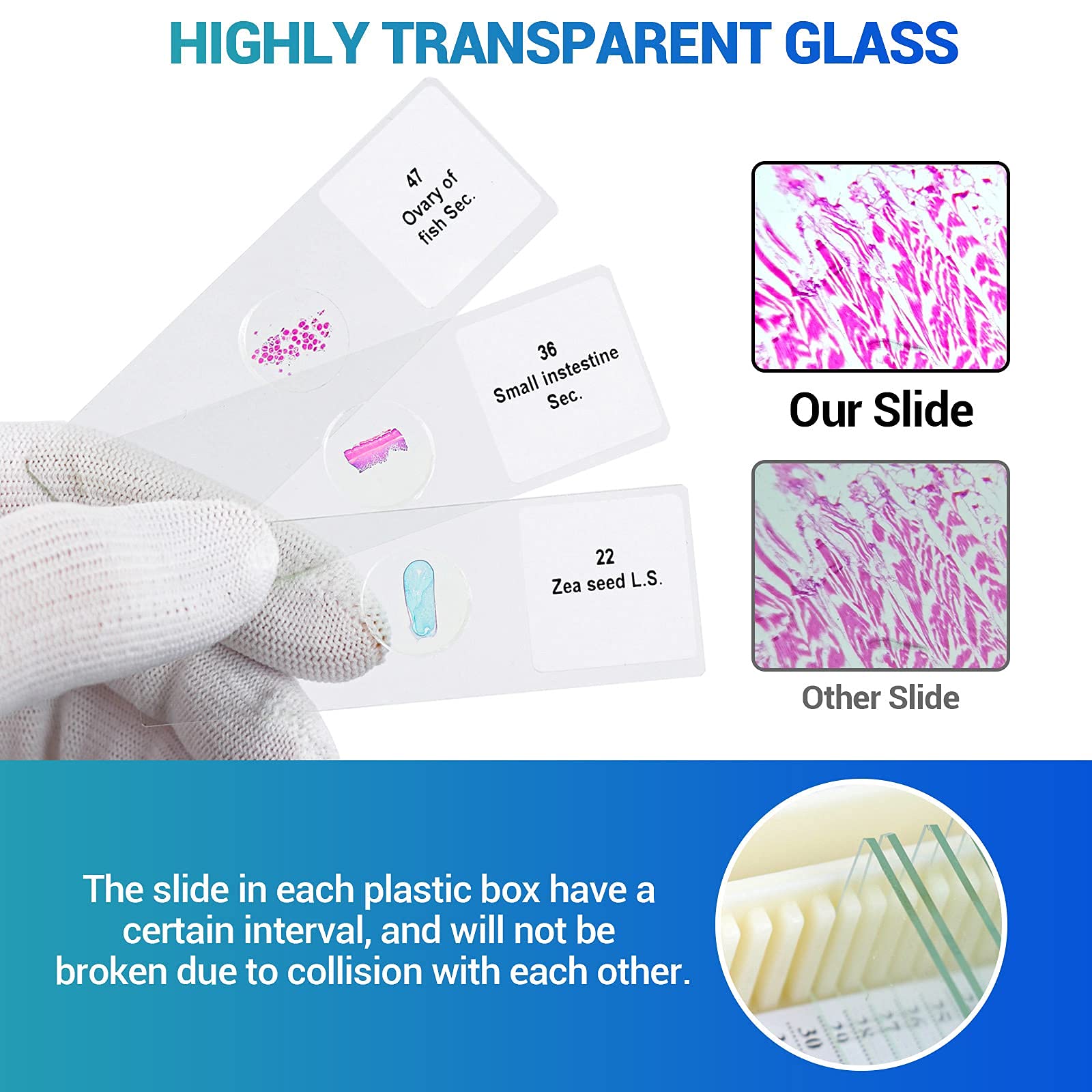 50 Prepared Microscope Slides with Specimens for Kids & Students - Plants, Insects, Fish, Animals & Human Tissue Samples | Biological Science Lab, Homeschool & Classroom Education | Perfect for STEM Learning & Science Experiments