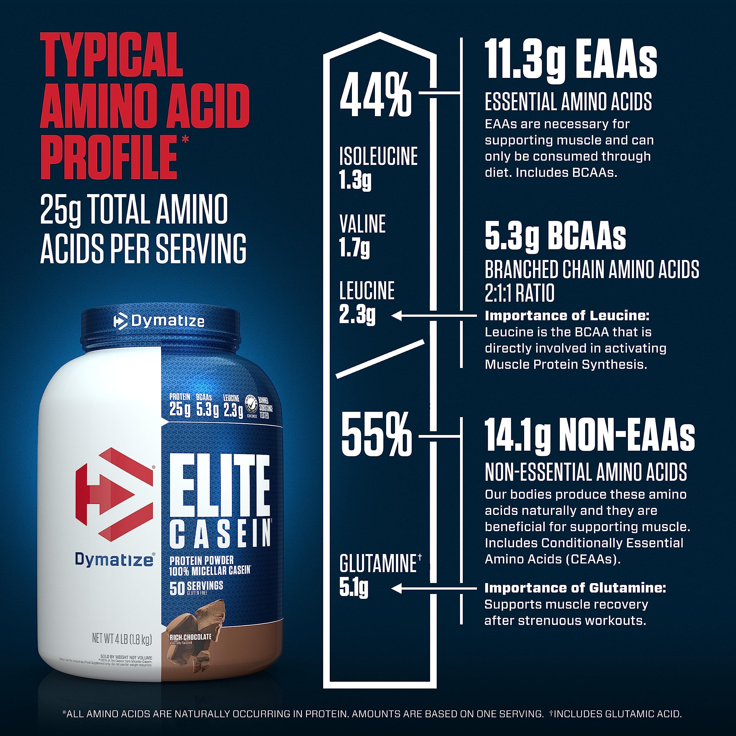 Dymatize Elite Casein Protein Powder - 25g Slow Digesting Protein with BCAAs & Leucine for Muscle Growth, Overnight Recovery & Post-Workout - Rich Chocolate Flavor, 4lb (1.81kg) - Perfect for Nighttime Use, Muscle Repair & Fitness Enthusiasts