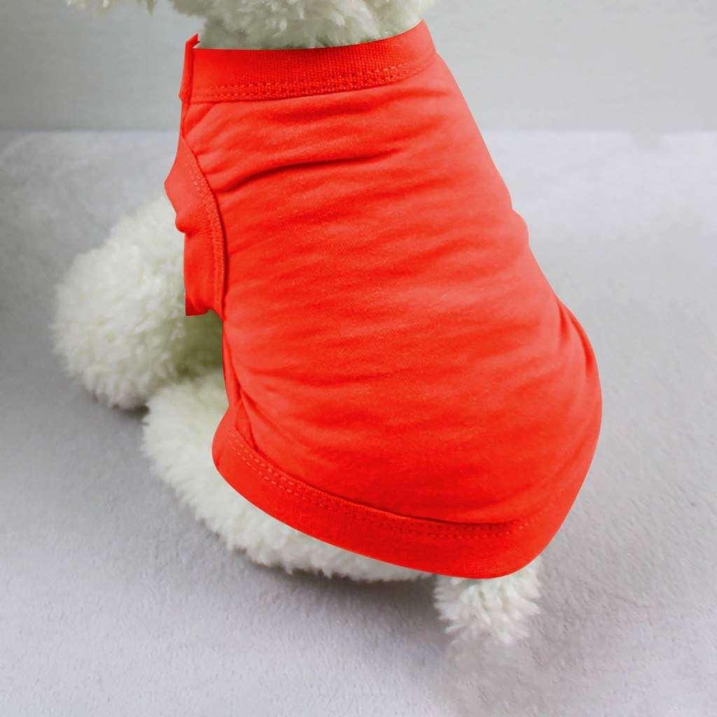 Cute Printed Dog Hoodies & Sweatshirts - Fashion Pet Clothes for Small Dogs & Cats | Halloween Costume & Everyday Wear
